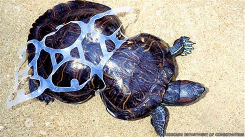 Não a Plásticos nos oceanos