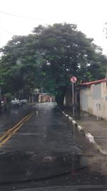 TODOS CONTRA A SUPRESSÃO DA ÁRVORE EM GUARAREMA