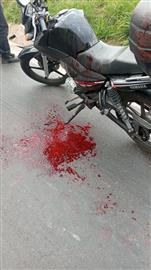 Criminalizar Pipas/Papagaios Sem Ou Com Cerol e Linhas Chilena.