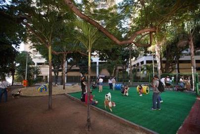 Instalação de ParCães e Revitalização de Espaços em Vila Isabel