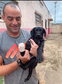 A permanência do Cabo Renan Rodrigues na cidade de Arantina/MG