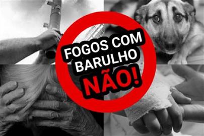 ABAIXO-ASSINADO PELA PROIBIÇÃO DE FOGOS DE ARTIFÍCIO COM ESTAMPIDO EM QUATIGUÁ 