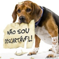 Criação de um Hospital Veterinário no Rio de Janeiro