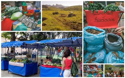 Apoio de consumidores de produtos agroecológicos ao Assentamento Osvaldo de Oliveira (Macaé-RJ)