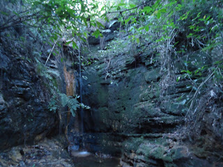 Petição contra obra no Parque Natural Municipal da Gruta