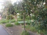 Limpeza e Retirada dos Bancos da Praça do SEMASA - Santo André